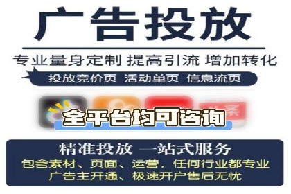 谷歌竞价广告在电商行业的运用案例